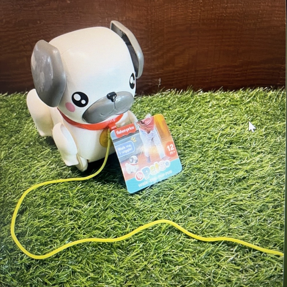 Fisher-Price Walk-the-Pup Pug